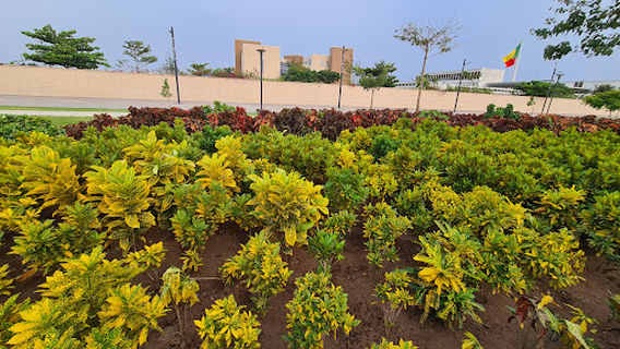 Esplanade des Amazones