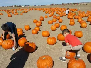 Wishing Star Farm
