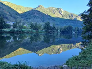 Camping Terrados