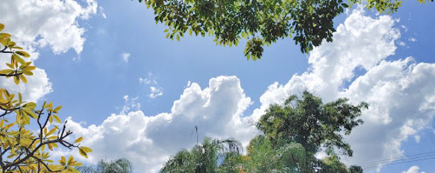 Piedras Vivas Park