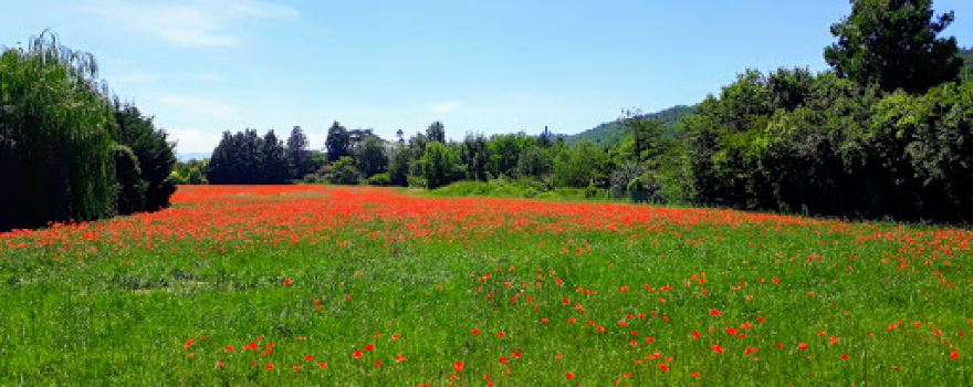 Parc de la Sathonette