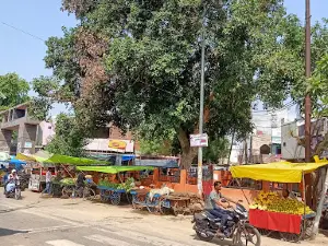 Maharaja Tej Singh Park