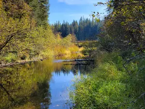 Round Lake Campground
