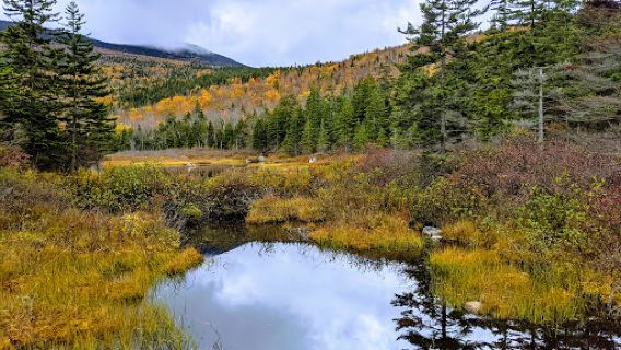 Hale Brook Trailhead