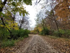 Patterson Park