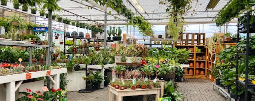 Cole's Florist & Garden Centre