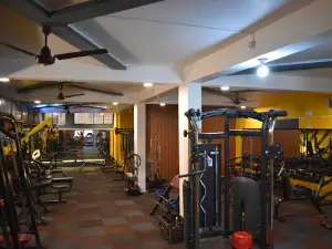 force gym