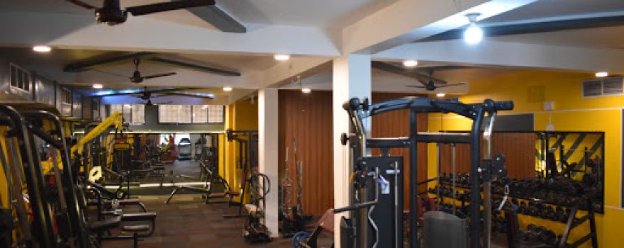 force gym