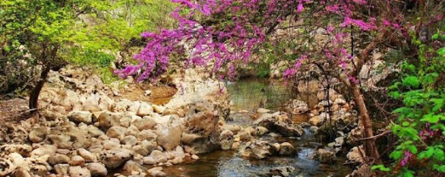 ( منتزه الوادي ) Mountazah AL WADI