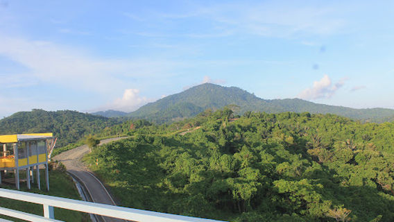 Bukit Mamake Sarang Tiung