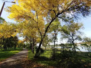 Урочище Белые камни