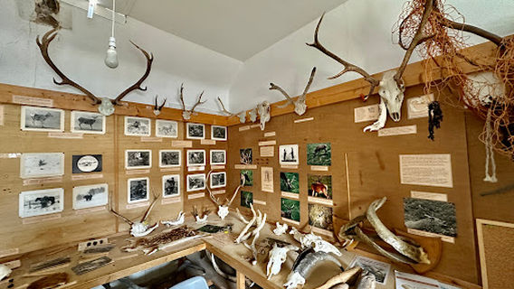 Deer Museum