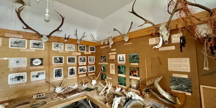 Deer Museum