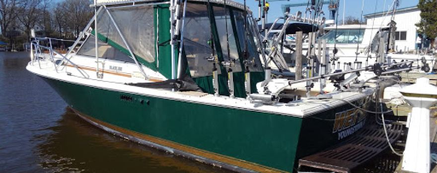 Wet Net Charters