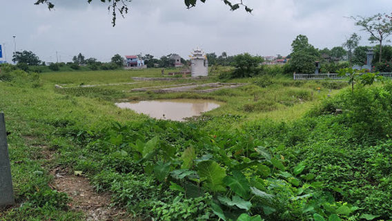 Trung Lươg