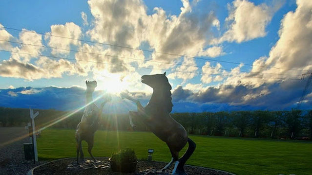 Wildhorse Campground