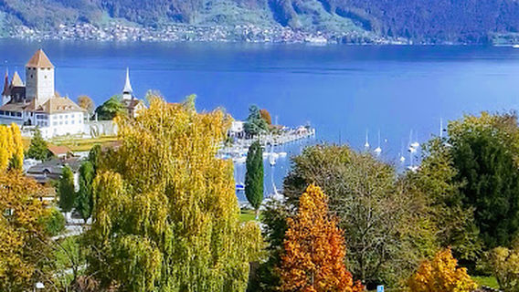 Park Spiez