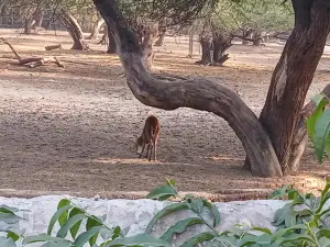 Gomti Sector Park