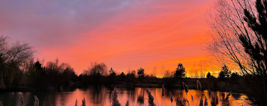 Crowsheath Fishery