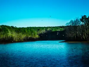 Cotton Springs Boat Ramp