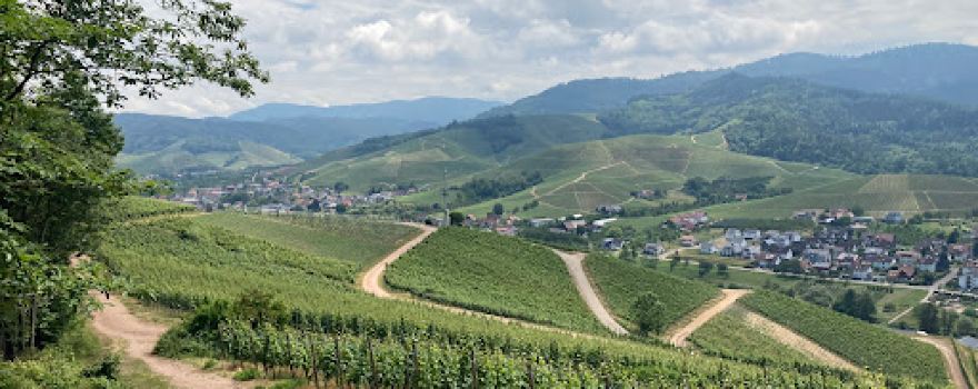 Durbach Aussicht