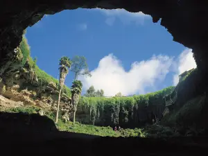 Parque Nacional Jaua-Sarisariñama