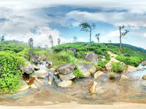 Patna View Point