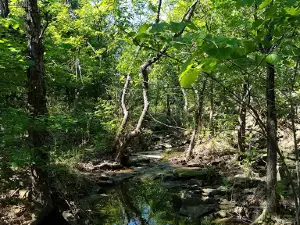 Badger Creek Trailhead