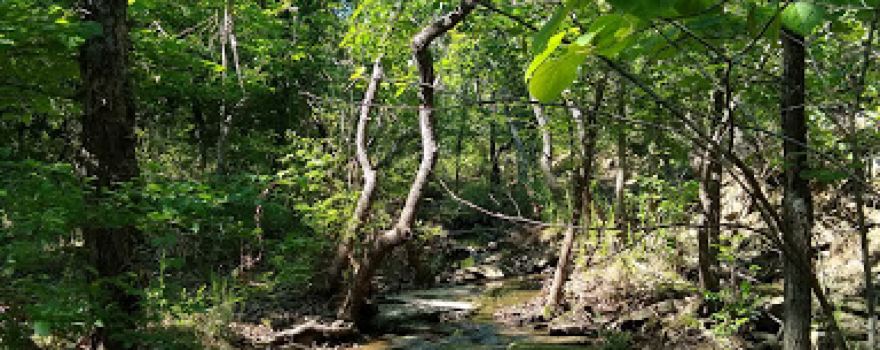 Badger Creek Trailhead