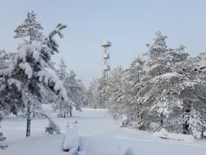 Devil's Nest (Jalasjärvi)