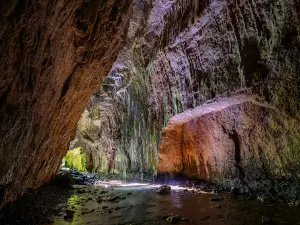 Limestone Creek Reserve Glow Worm Caves