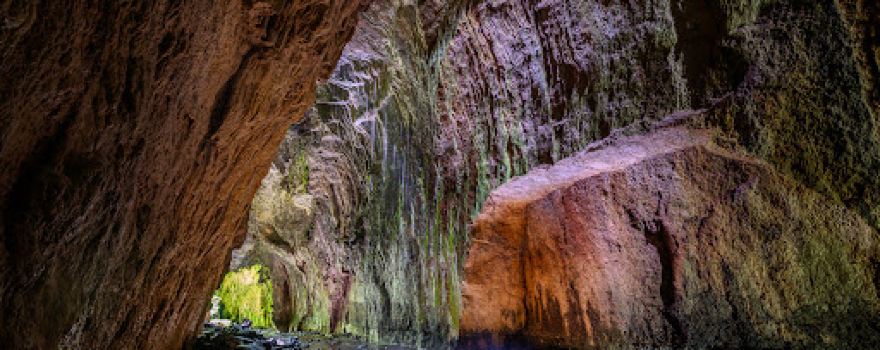 Limestone Creek Reserve Glow Worm Caves