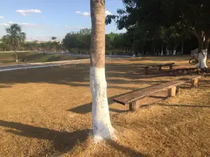Parque Ar Puro