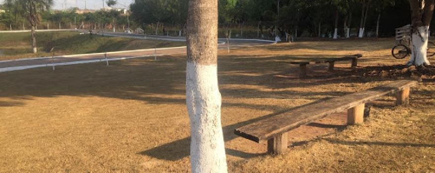 Parque Ar Puro