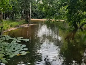 Balneário do Jota