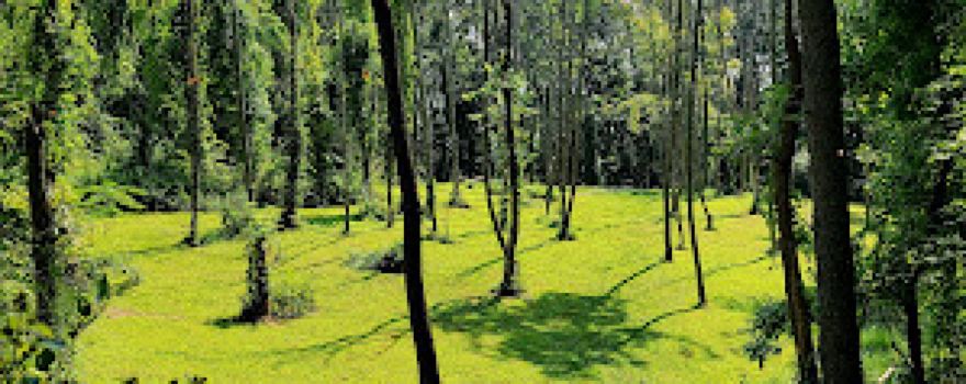 Two Mile Run Extension Disc Golf Course