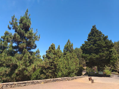 Piedra La Rosa