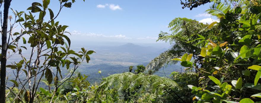 Makiling Forest Reserve Laguna