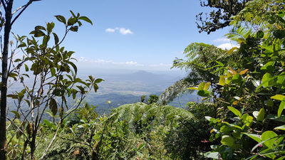 Makiling Forest Reserve Laguna