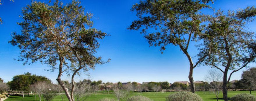 Cortessa HOA Park