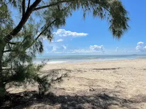 Brooks Point