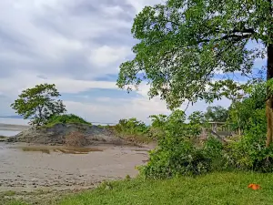 Brahmaputra