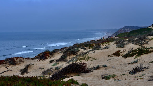 Monterey State Beach