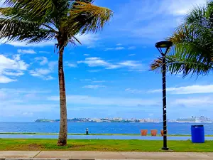 Bahía Viva Cataño