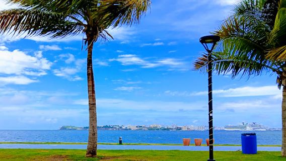 Bahía Viva Cataño