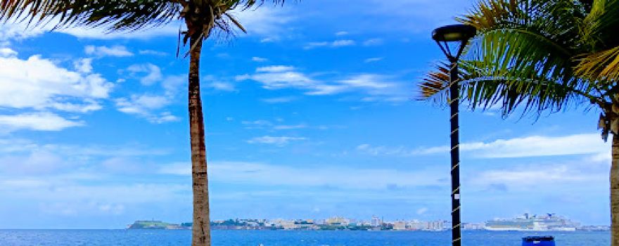 Bahía Viva Cataño