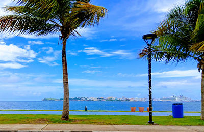Bahía Viva Cataño