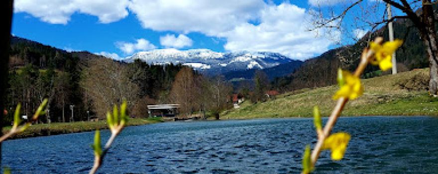 Okrepčevalnica ribiški dom, Matej Podkrižnik s.p.