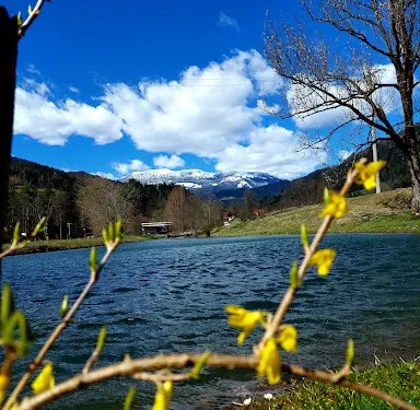Okrepčevalnica ribiški dom, Matej Podkrižnik s.p.