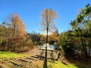 Dogwood Park at Wesley Chapel